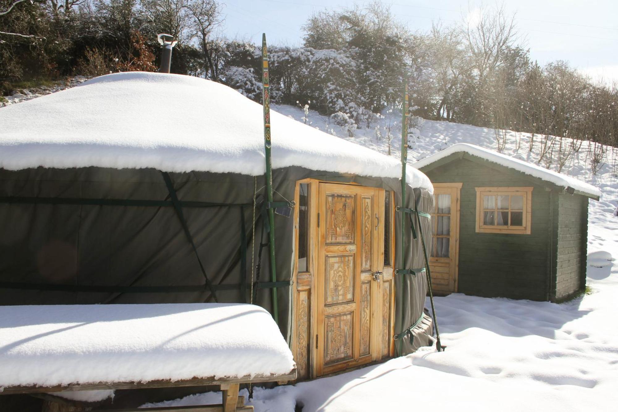 Crazy Pheasant Villa Mold Exterior foto